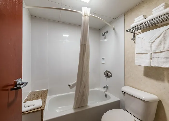 Quality Bradley- Bourbonnais Inn Bradley